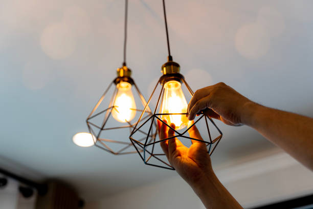 Best Electric Panel Repair  in Mount Vernon, GA