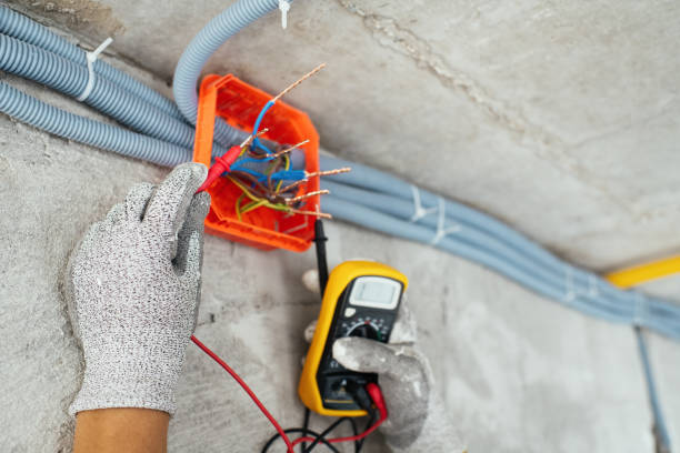 Best Electric Panel Repair  in Mount Vernon, GA